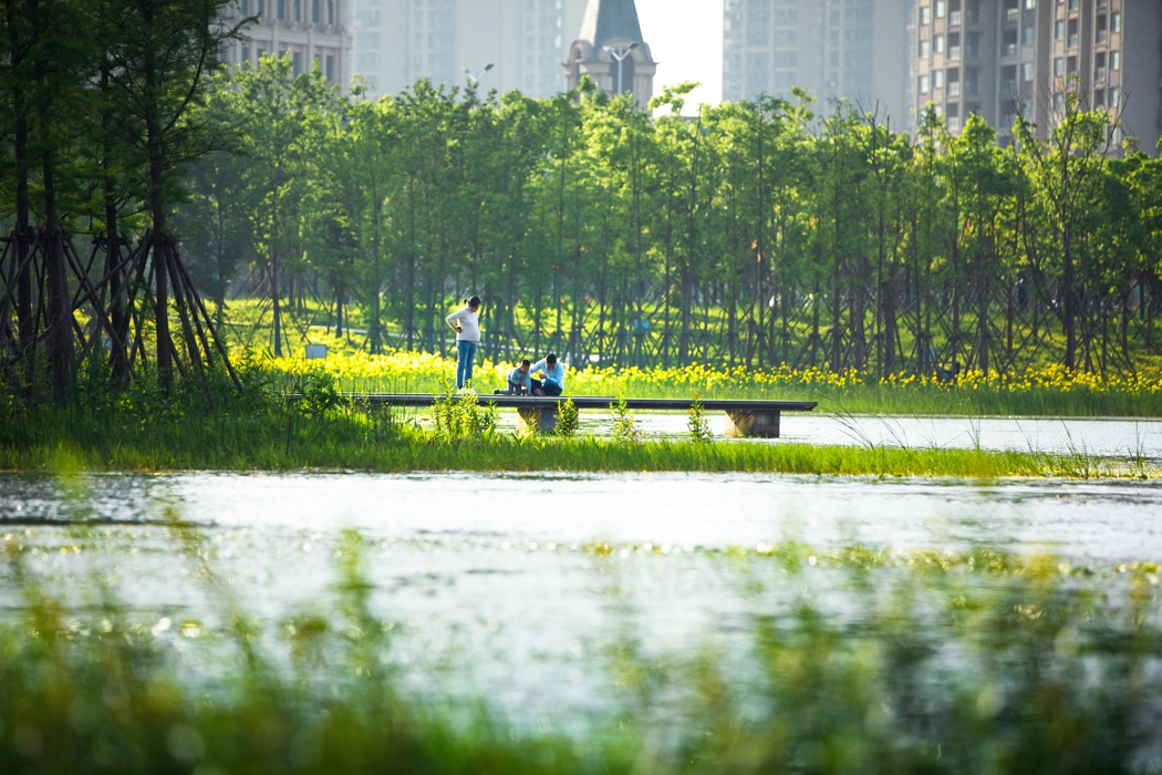 南昌鱼尾洲湿地公园